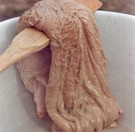 gamelu urdaila potentzia estimulatzeko